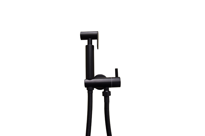 Mueller RVS bidet handdoucheset rond mat zwart